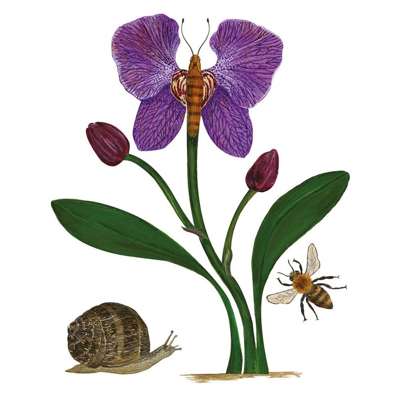 Middagsservietter Blomster 
