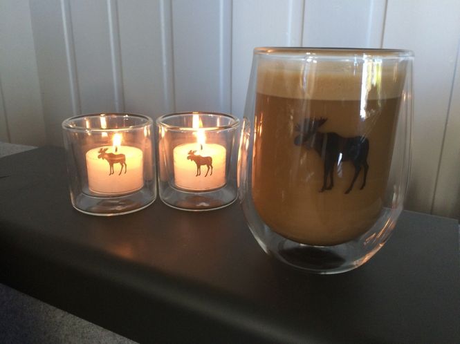 Hovedbilde Kaffeglass med dobbel vegg - Silver Moose