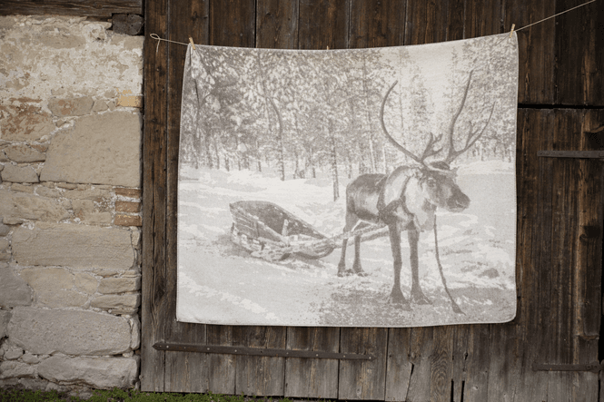 Hovedbilde Savona Pledd Reinsdyr m slede 150x200 cm fra DF