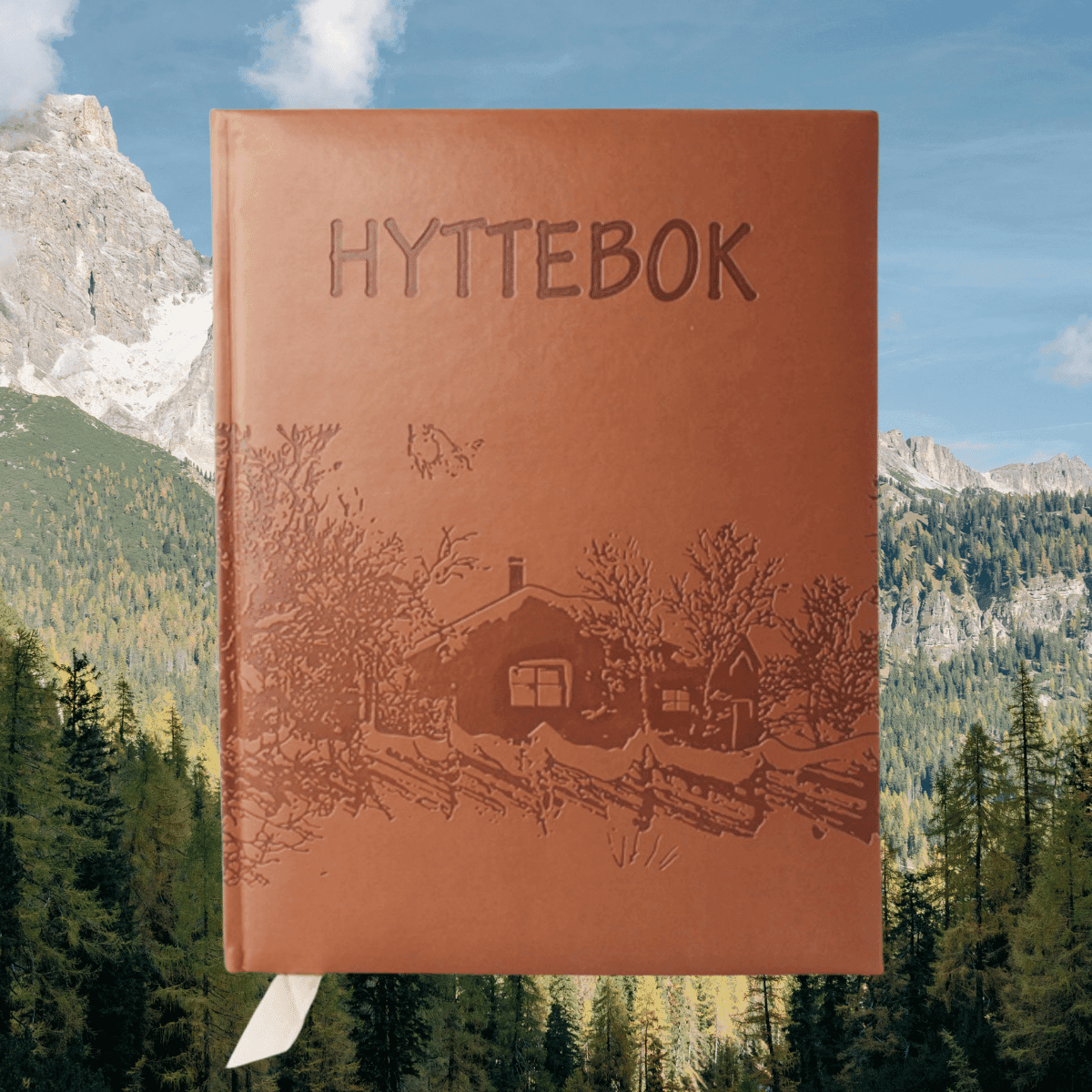 Gaver til hytta